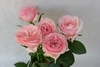 VICTORIAN PINK